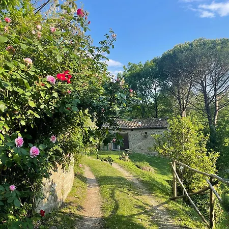 Castellare * Molino del Piano
